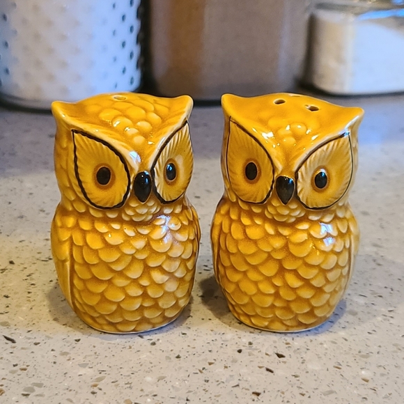 Vintage Other - Vintage Owl Salt & Pepper Shakers